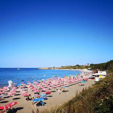 Sv Nikola 3* 아크토폴